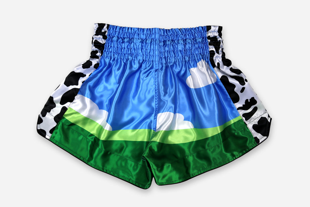 Ice C.R.E.A.M. Muay Thai Shorts – RSLNT Fight Wear