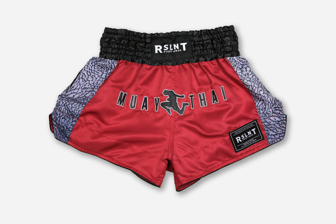 Ice C.R.E.A.M. Muay Thai Shorts – RSLNT Fight Wear